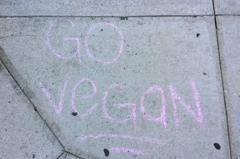 go-vegan-chalk-art