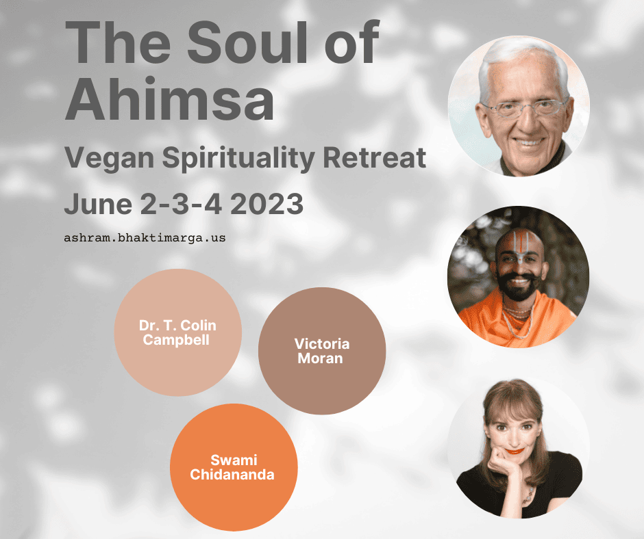The Soul of Ahimsa