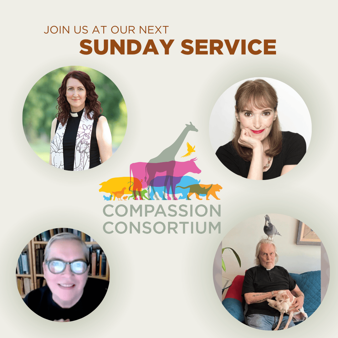 The Compassion Consortium Sunday Service