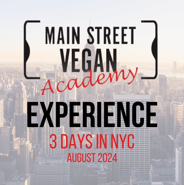 MSVA Experience NYC