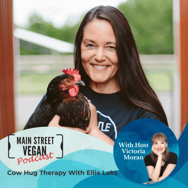 Ellie Laks on Cow Hug Therapy